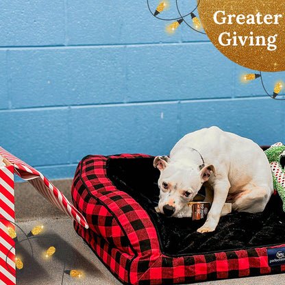 Send a Care Package to a Shelter Pet this Holiday Season