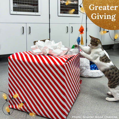 Send a Care Package to a Shelter Pet this Holiday Season