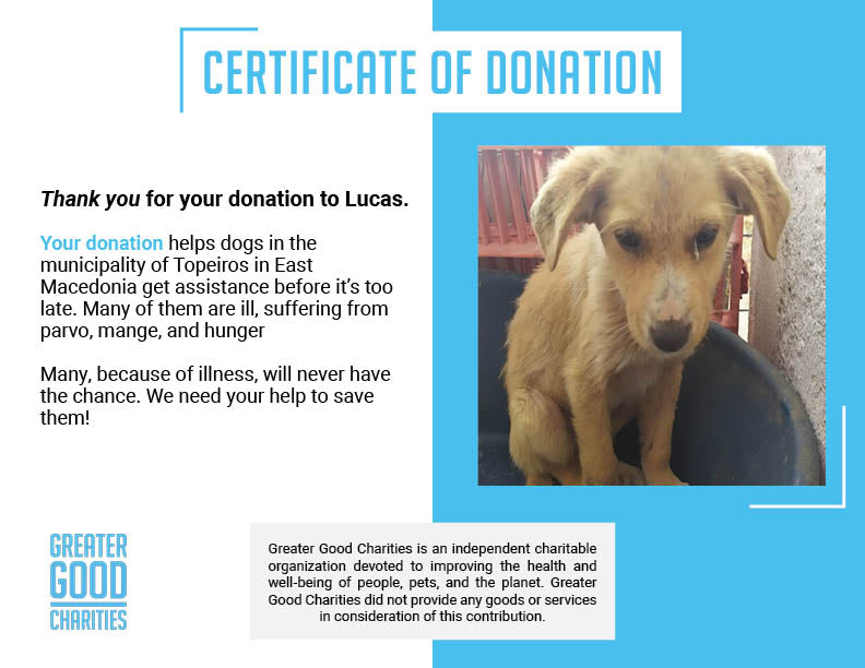 Funded: Help Starving Lucas Regain His Strength
