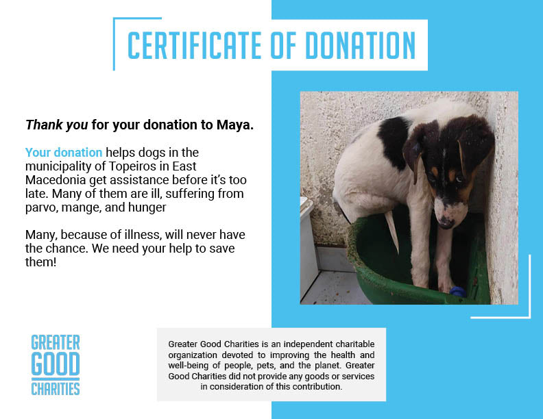 Funded: Maya Is Giving Up Hope And Needs Your Help