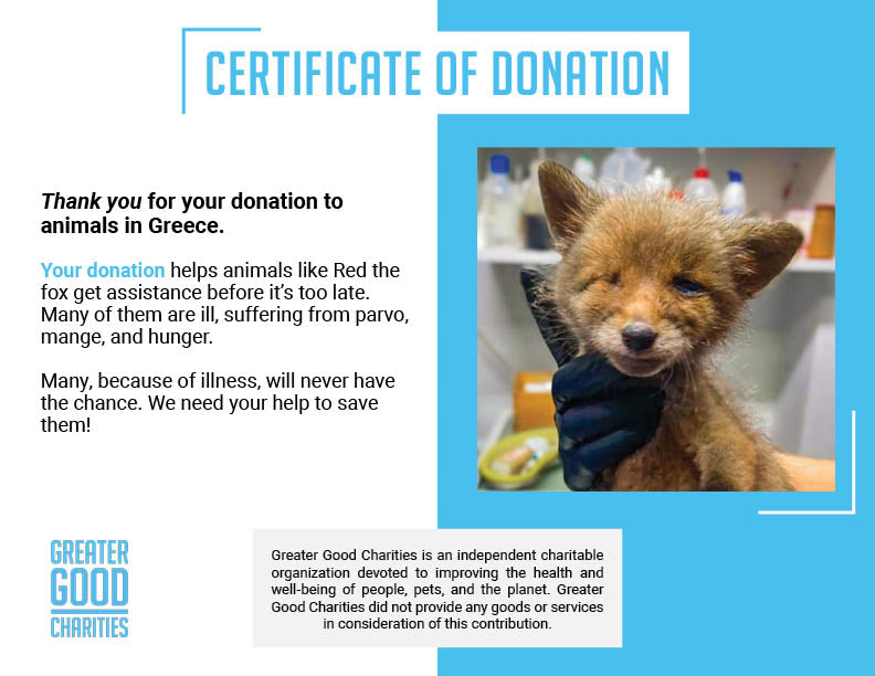 Funded: Emaciated, One-Eyed Fox Cub Needs Love & Care