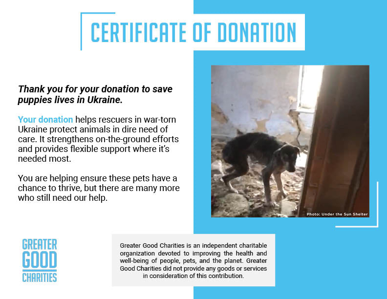 Save Sick & Starving Dog Found in Destroyed Home in Ukraine