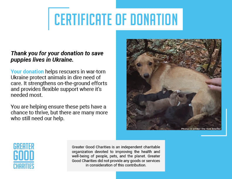 Funded: 36 Newborn Puppies Rescued from War Zone Need Care