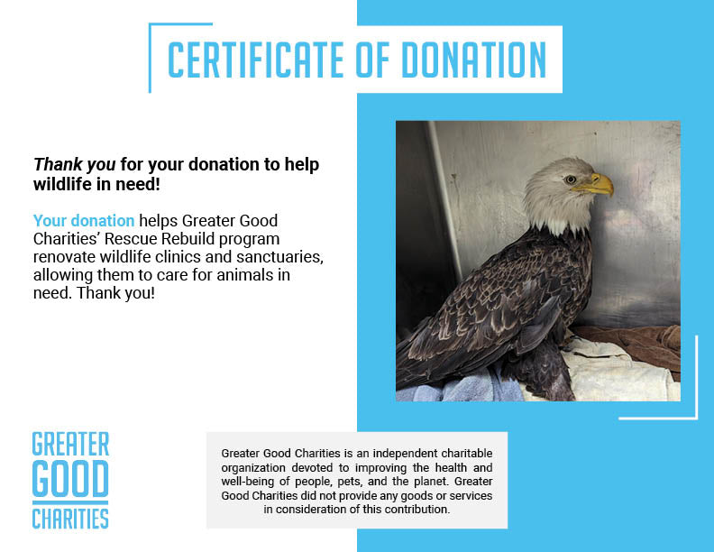 Help Bring Bald Eagle Back From Brink of Death