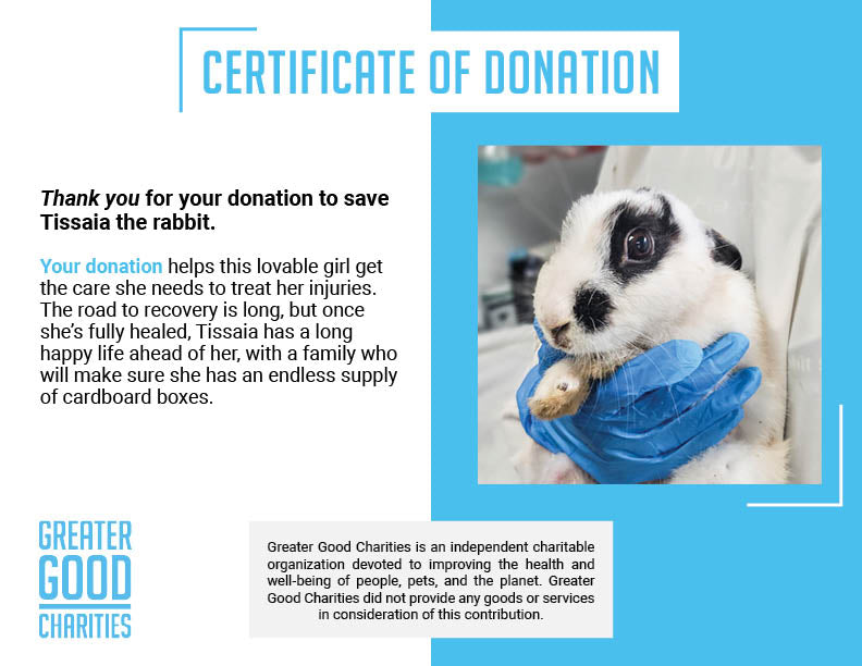 Funded: Help Tissaia the Rabbit Recover From Trauma