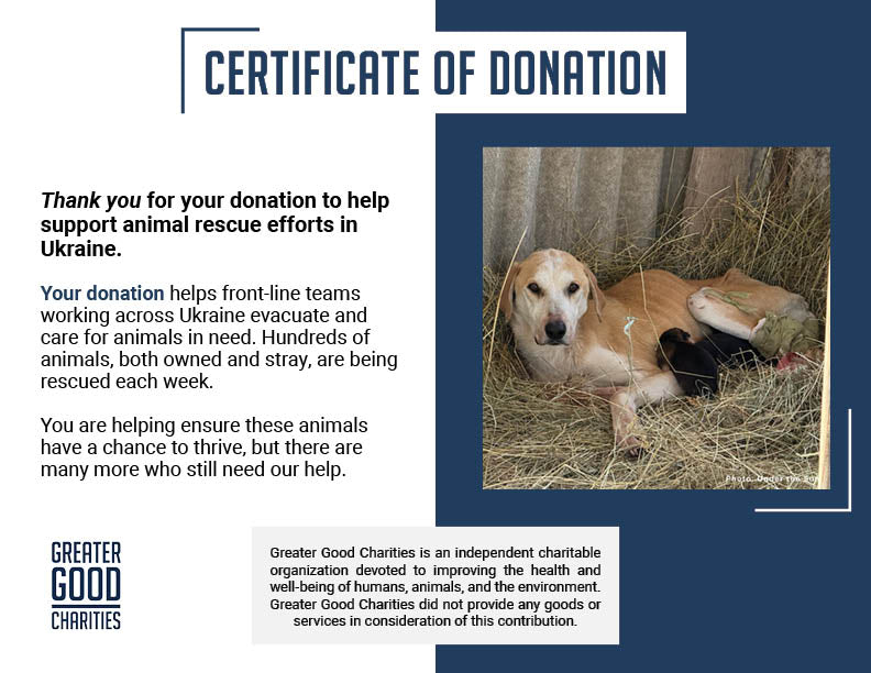 Funded: Shot Ukraine Mama Dog & Puppies Need Emergency Care