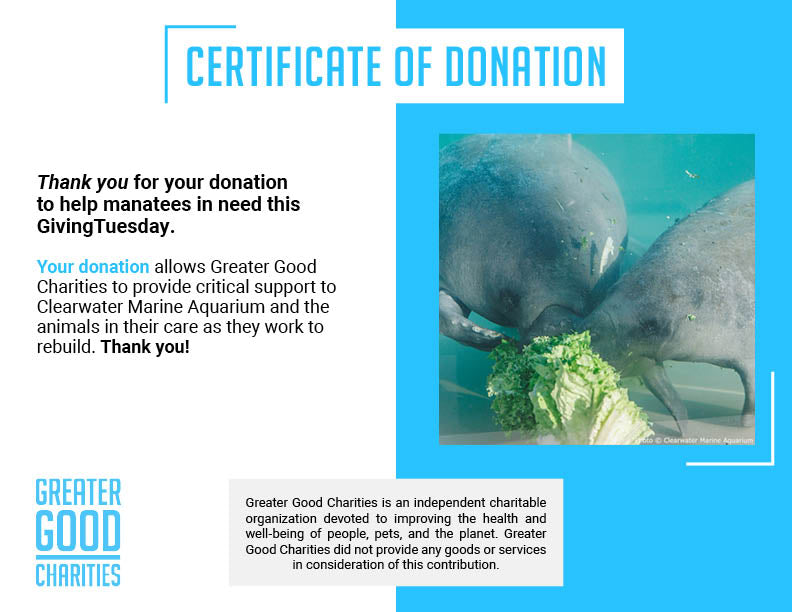 GivingTuesday: Help Save Rehabilitated Manatees