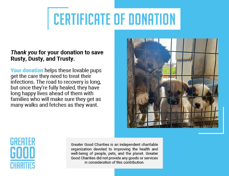 Funded: Help Rusty, Dusty, and Trusty Grow Up Healthy