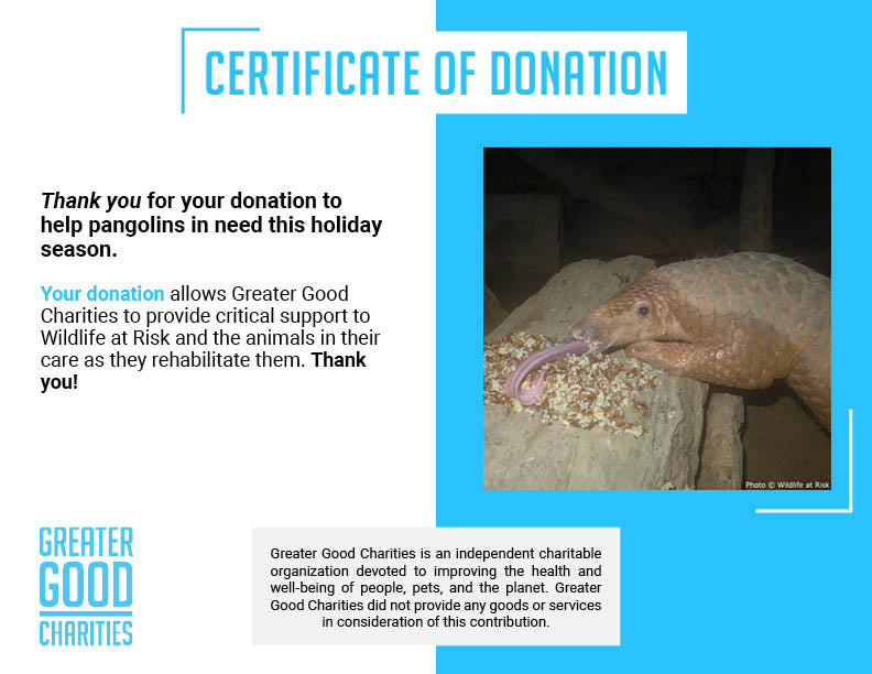 Protect the Pangolin this Holiday Season