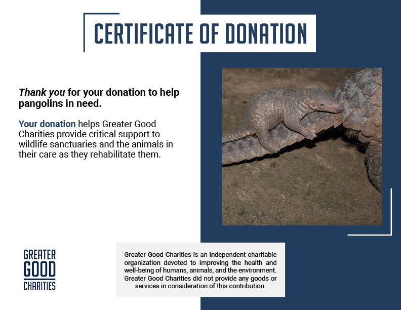 Protect the Pangolin from Extinction
