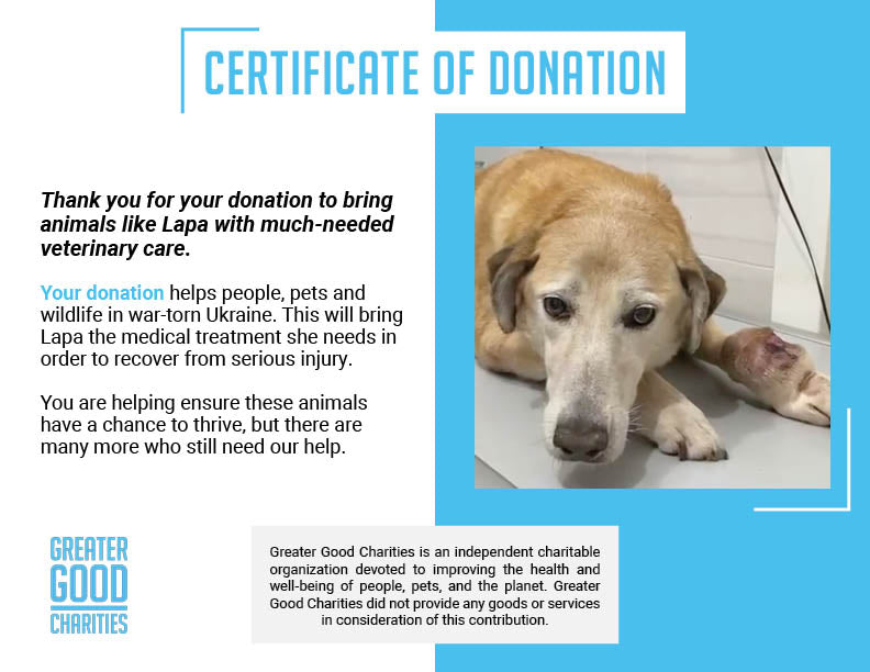 Help Ukraine Dog Struggling to Walk with Painful Tumor