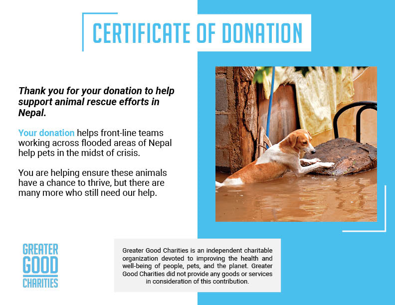 Help People and Pet Survivors of Devastating Floods in Nepal