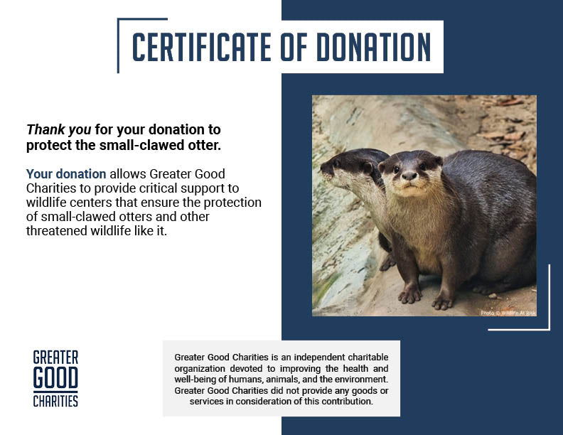 Help Save the Small-Clawed Otter