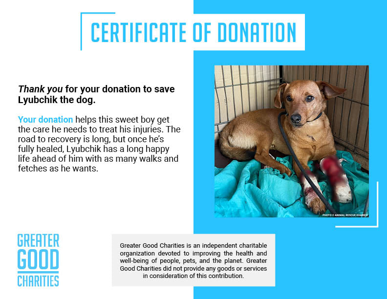 Support Lyubchik as He Heals from Pelvic Fracture