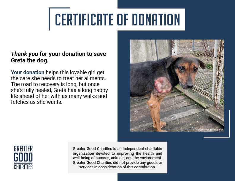 Funded: Skinny Ukraine Dog With Life-Threatening Tumors Needs Your Support