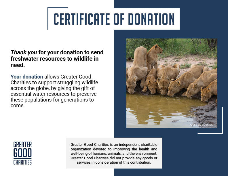 Provide Life-Saving Water to Wildlife Around the World