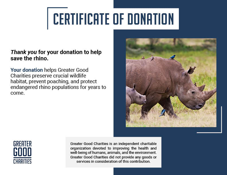 Help Save the Rhino From Extinction