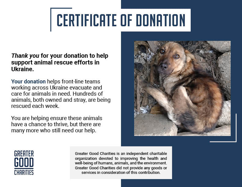 Starving Ukraine Dogs Freed from Heavy Chains Need Emergency Care