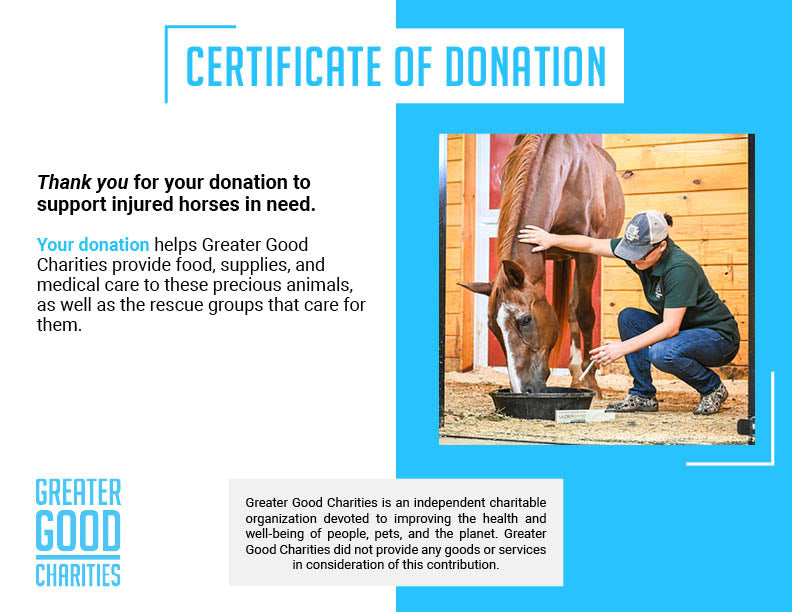 Help Injured and Neglected Horses in Urgent Need of Care