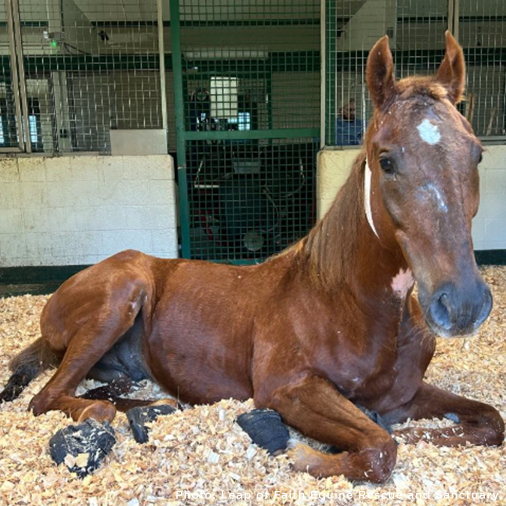 Convict Unable to Walk or Stand Without Excruciating Pain Needs Your Help