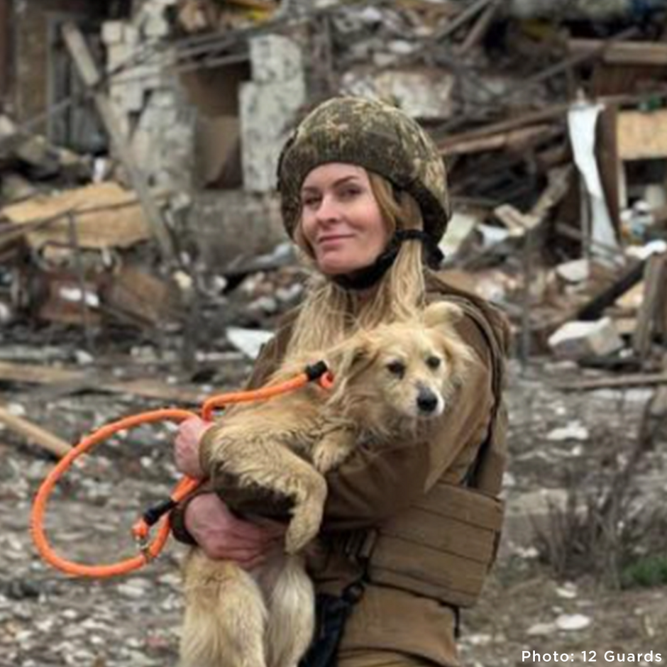 The Animal Rescue Site & GreaterGood Impact | GreaterGood