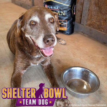 Shelter Bowl 2026: Feed Hungry Shelter Pets