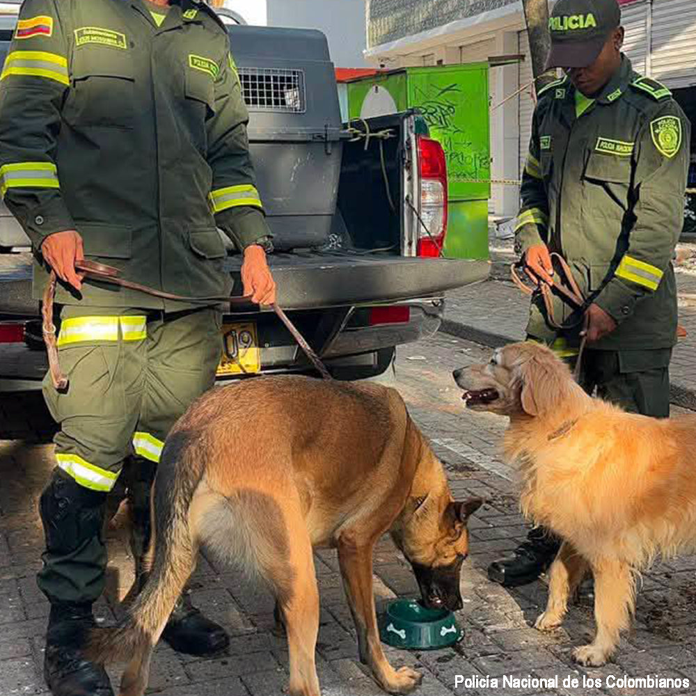 Deadly Colombia Earthquake: Send Aid to People & Pet Survivors
