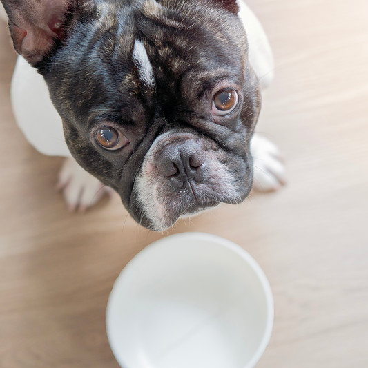 Support Families & Pets Hit Hard by Rising Costs