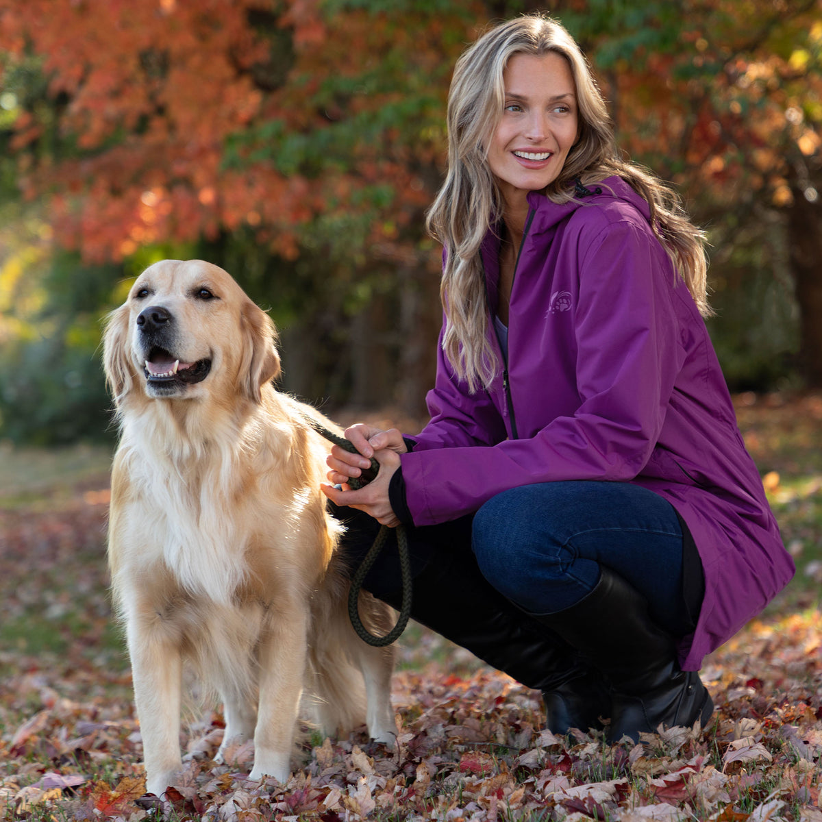 A woman crouches outdoors with a golden retriever dog on a leaf-covered ground, wearing a bright purple hooded jacket, dark blue jeans, and black boots. The background shows autumn trees with orange and green foliage.