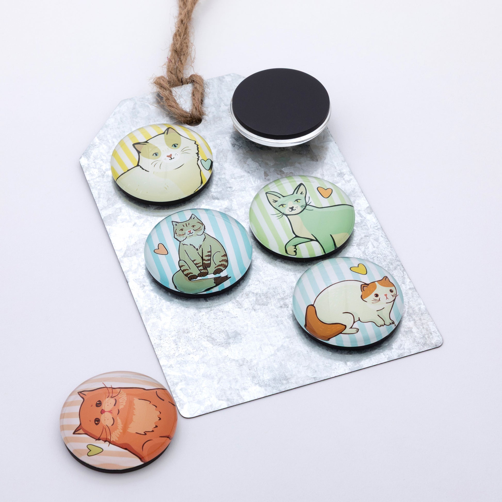 A set of 6 cat dome magnets on a metal gift tag, against a white background.