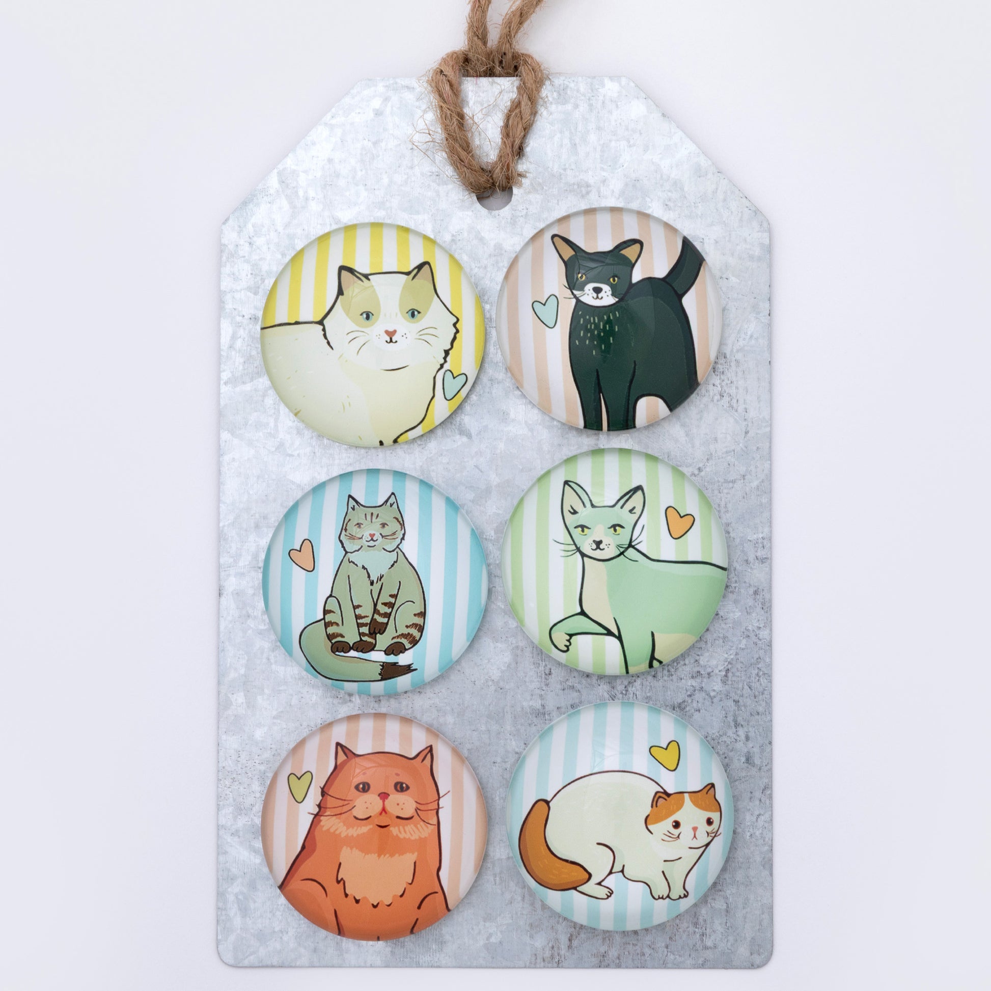 Set of six cat-themed magnets on a metal tag with a white background