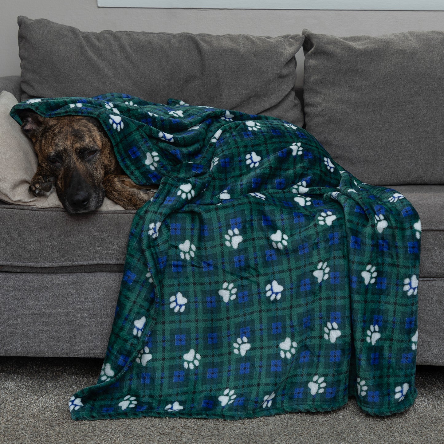 Super Cozy&trade; Pet Blanket