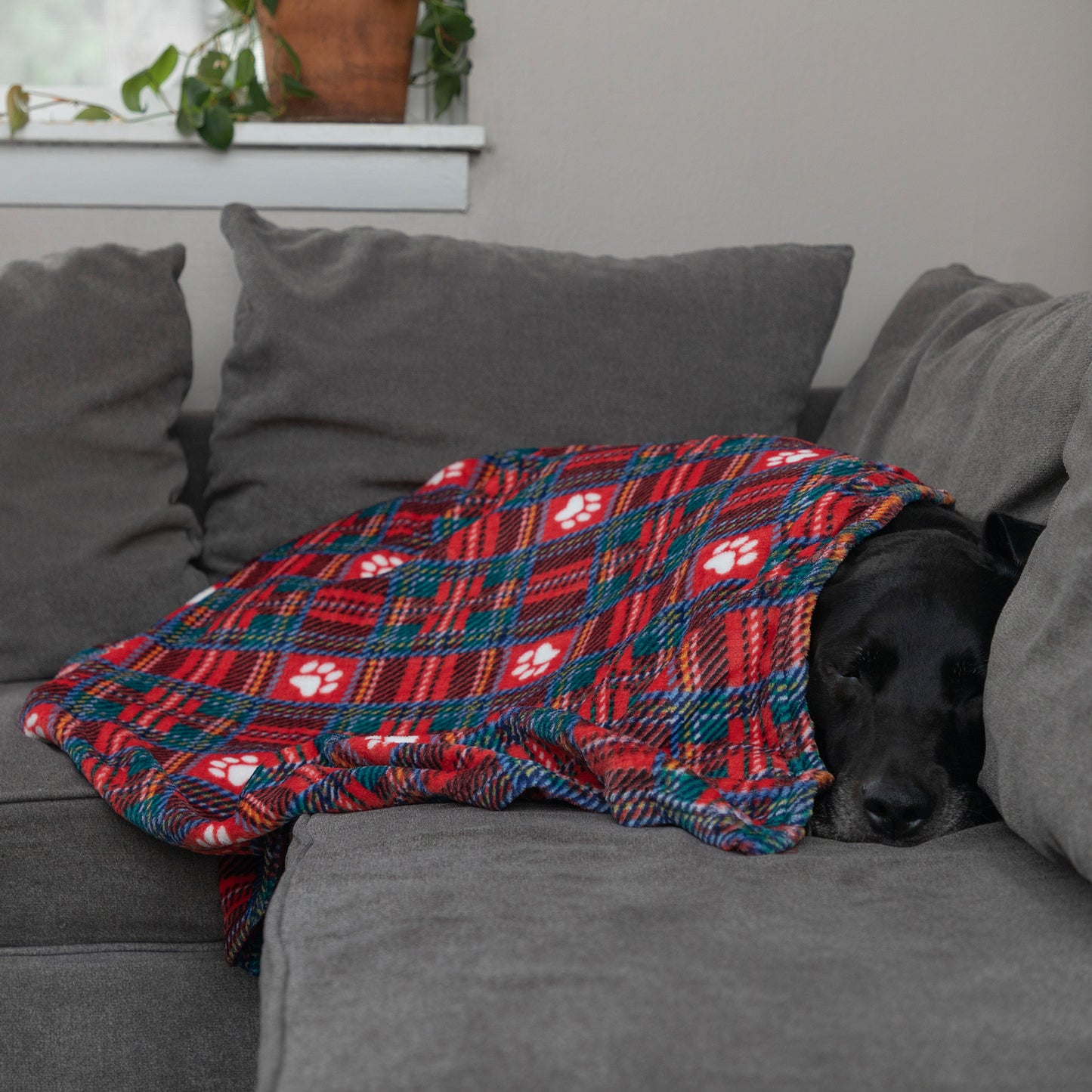 Super Cozy&trade; Pet Blanket