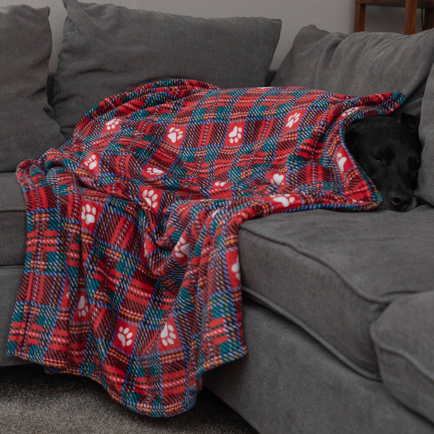Super Cozy&trade; Pet Blanket