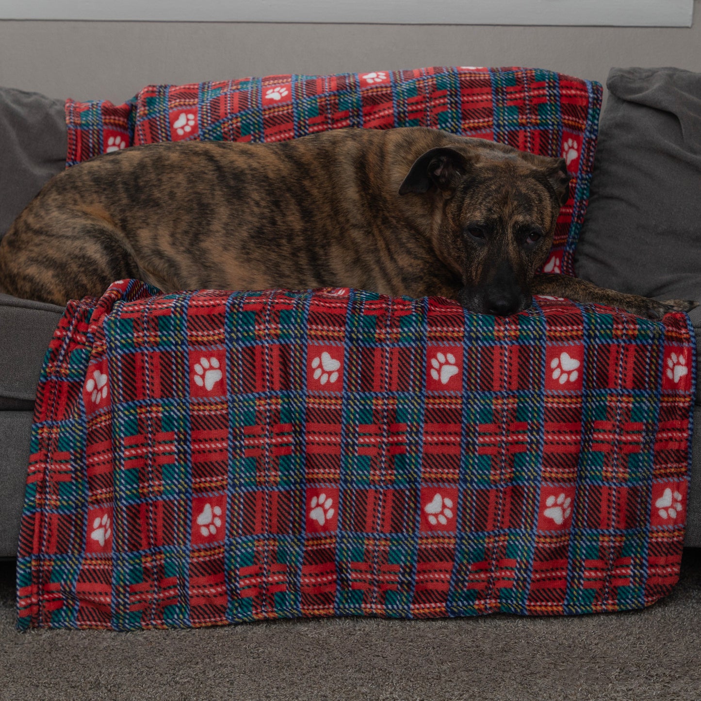 Super Cozy&trade; Pet Blanket