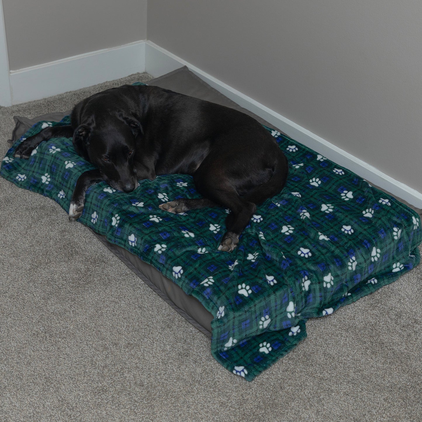 Super Cozy&trade; Pet Blanket