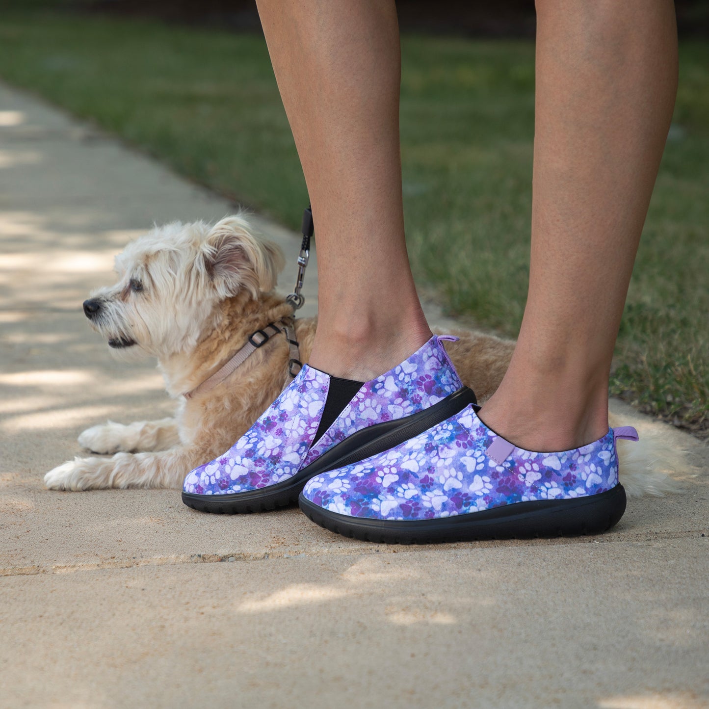 A person wearing slip-on shoes with a purple and blue floral pattern walks outdoors with a small fluffy dog on a concrete path.