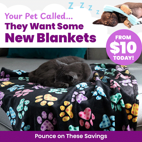 New Blankets From $10 promotion from The Animal Rescue Site and GreaterGood. Proceeds help support shelter pets and more. Black fleece pet blanket, colorful paw print pattern, cozy pet bedding.