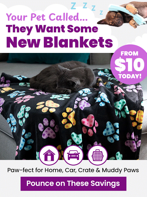 New Blankets From $10 promotion from The Animal Rescue Site and GreaterGood. Proceeds help support shelter pets and more. Black fleece pet blanket, colorful paw print pattern, cozy pet bedding.