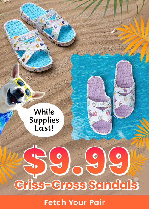 $9.99 Criss-Cross Sandals: Blue and purple paw print sandals. By The Animal Rescue Site and GreaterGood. Proceeds help support shelter pets and more.