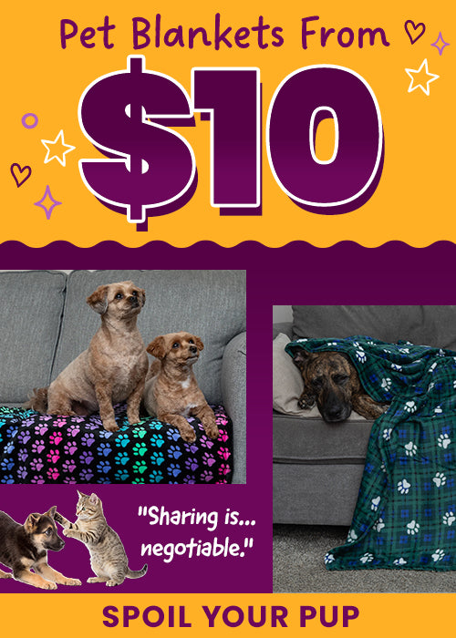 Spoil your pup with cozy pet blankets starting from $10, featuring colorful paw print patterns. Proceeds help support shelter pets and more through The Animal Rescue Site and GreaterGood.