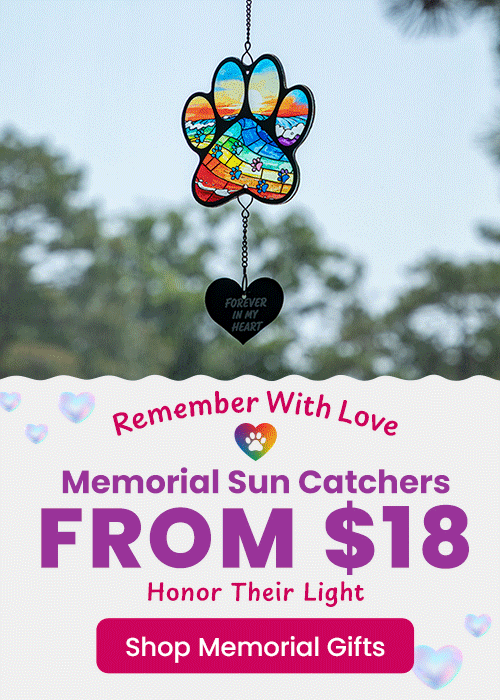 Shop Memorial Sun Catchers starting from $18 to "Honor Their Light" with a beautiful stained-glass style paw print design and a heart pendant that reads "Forever In My Heart." Proceeds help support shelter pets and more through The Animal Rescue Site and GreaterGood.