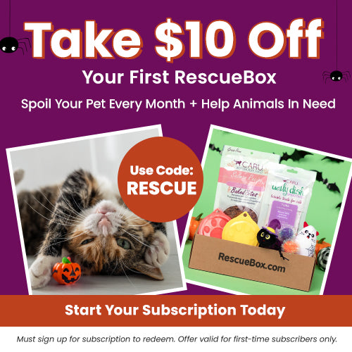 $10 Off RescueBox Subscription from The Animal Rescue Site and GreaterGood. Monthly pet box with toys, treats, and supplies. Proceeds help support shelter pets and more.