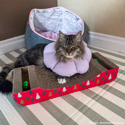 Fatima's Severe Leg Wound Needs Urgent Care