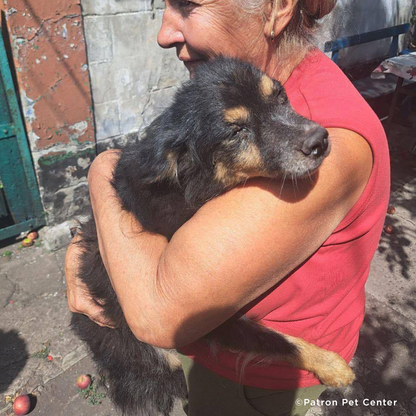 Crisis in Ukraine: Evacuate Pets Out of a War-Zone