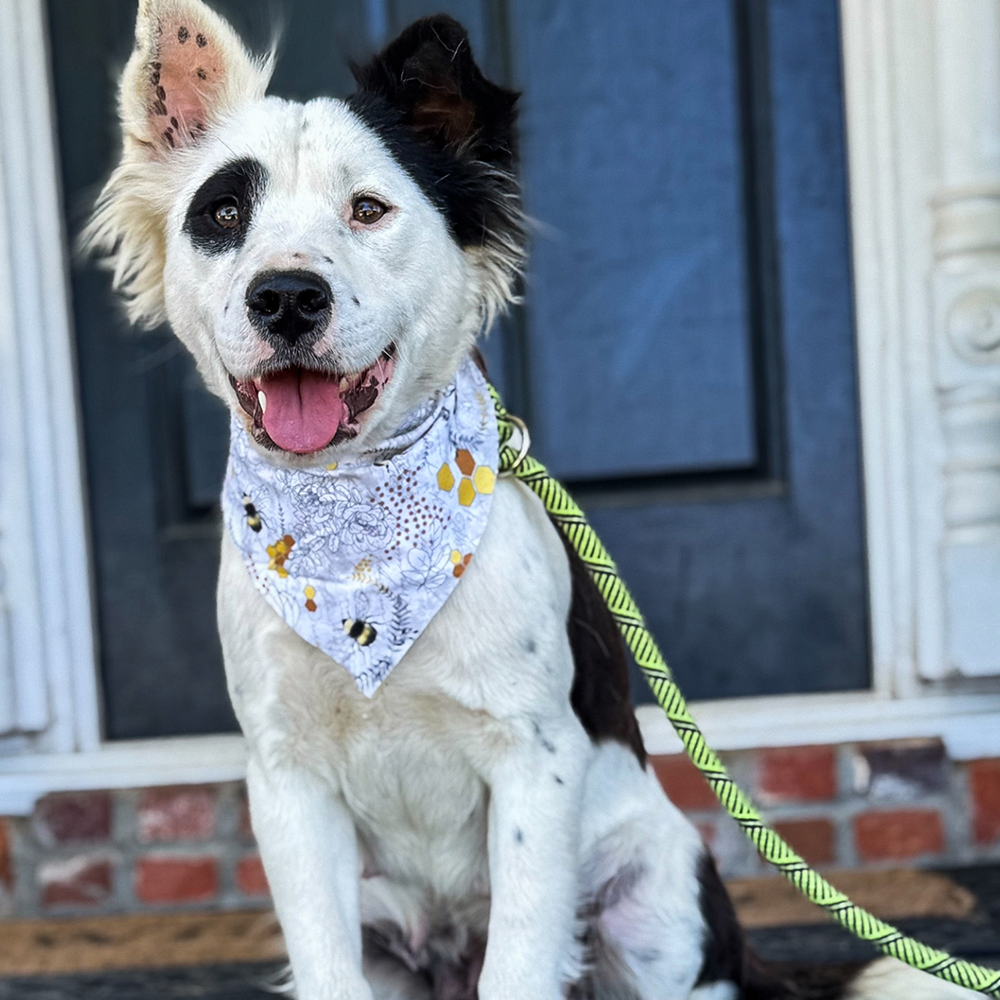 Pet Kisses: Flight To Freedom T-Shirt