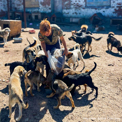 Ukraine Crisis: Feed Pets in Need