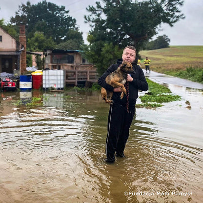 Help People and Pet Victims of Devastating Floods