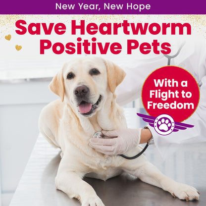 Help Fly Pets to Freedom