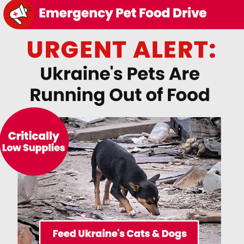 Emergency Pet Food Drive by The Animal Rescue Site and GreaterGood, supporting Ukraine’s cats and dogs with urgent food aid as supplies run critically low.